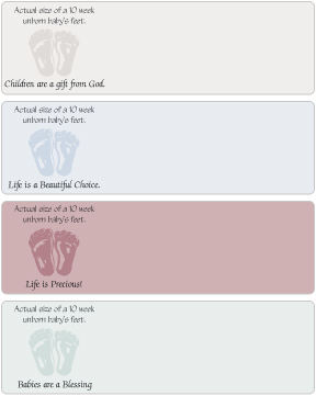 Heritage House Designer